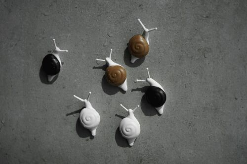 Набор магнитов snail, 6 шт. 6 Набор магнитов snail, 6 шт. 6