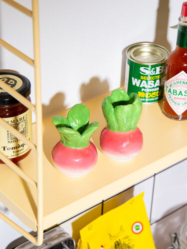 Набор из солонки и перечницы radish 5