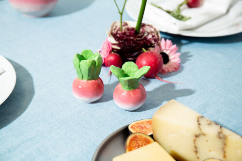 Набор из солонки и перечницы radish 2