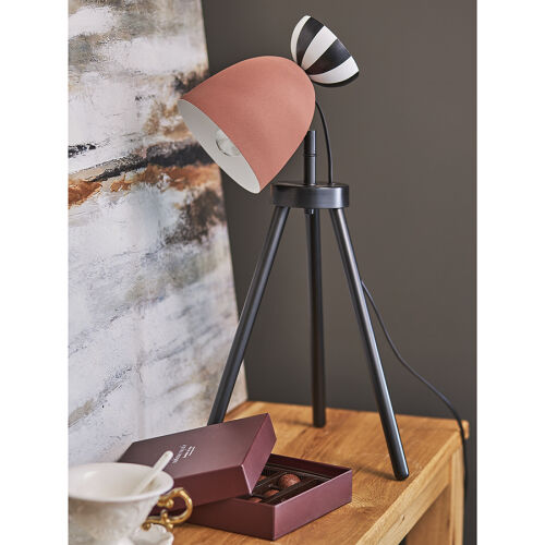 Светильник настольный anniken, D20х58 см, терракотовый 4