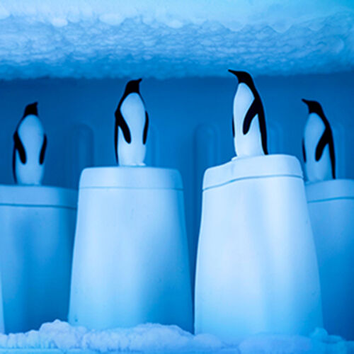 Форма для мороженого penguin on ice 4 Форма для мороженого penguin on ice 4