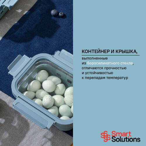 Контейнер для запекания, хранения и переноски продуктов в чехле 2 Контейнер для запекания, хранения и переноски продуктов в чехле 2