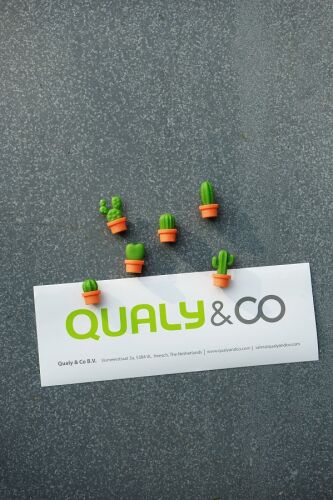 Набор магнитов cactus, 6 шт. 10