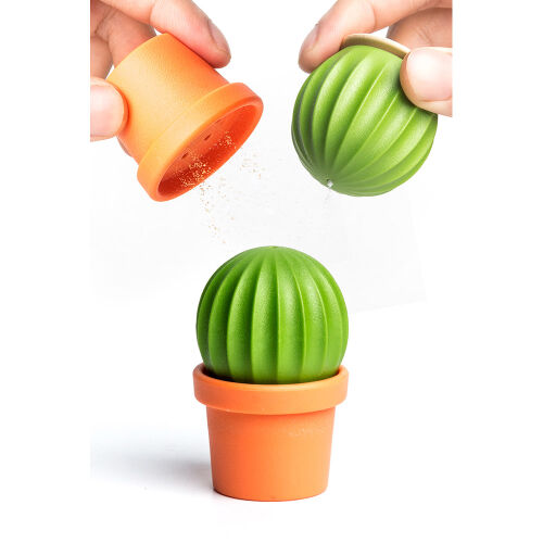 Набор для специй cactus 2