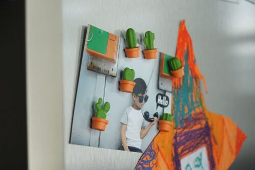 Набор магнитов cactus, 6 шт. 3