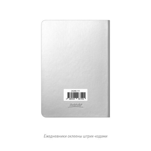 Ежедневник Спарк мини (Spark mini) A6 недатированный, серебряный 7