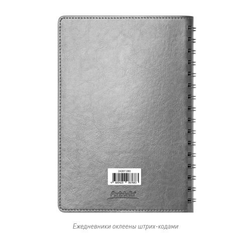 Ежедневник Vista Neo недатированный, серый 5