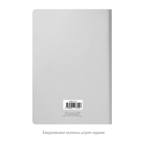 Ежедневник Spark недатированный, серебряный (без упаковки, без с 6