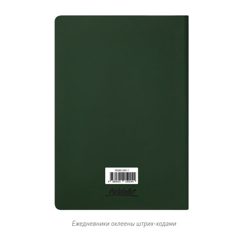 Ежедневник Spark недатированный, зеленый (без упаковки, без стик 6