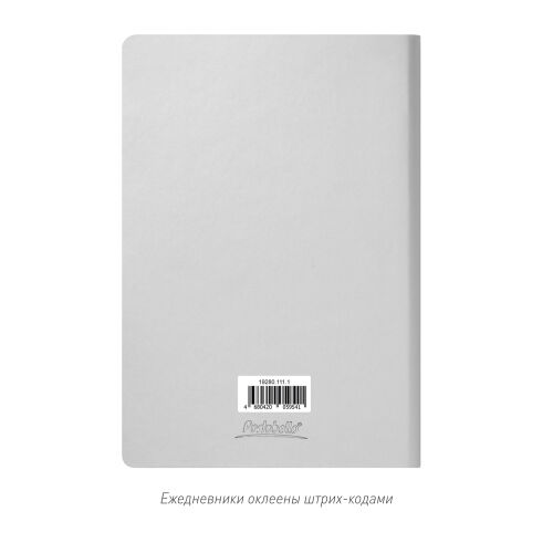 Ежедневник Spark недатированный, серебряный (без упаковки, без с 6
