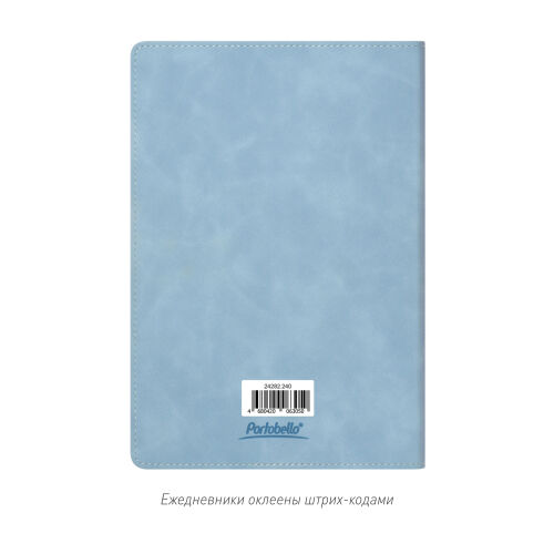 Ежедневник Verona недатированный, голубой 6