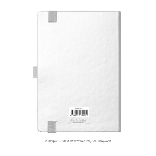 Ежедневник Alpha недатированный, серебро/серый 1