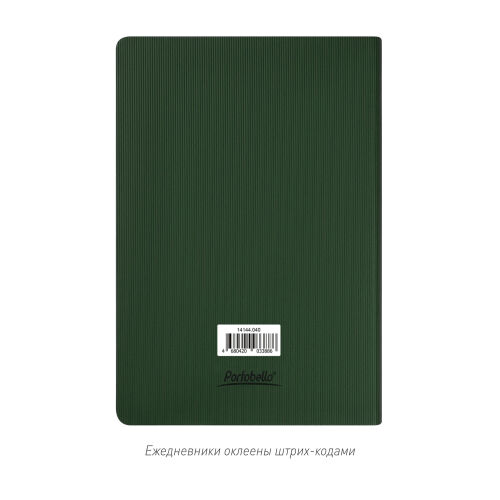 Ежедневник Rain недатированный, зеленый 6