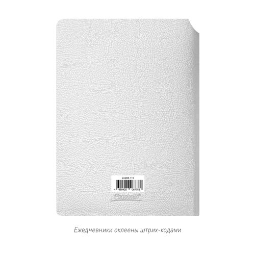 Ежедневник Молто (Molto) недатированный, серебряный (без упаковк 6