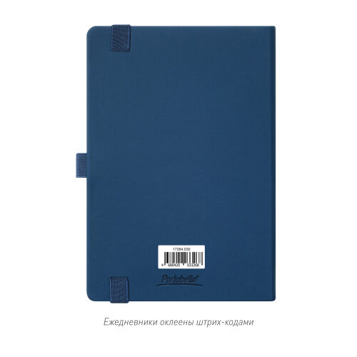 Ежедневник Alpha недатированный, синий/голубой 1