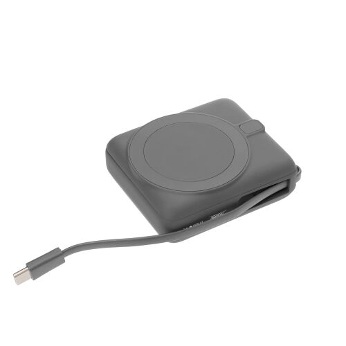 Внешний аккумулятор с подсветкой Ritter PD 10000mAh с функцией б 12