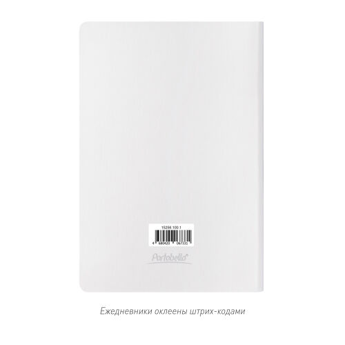 Ежедневник River side недатированный, белый (без упаковки, без с 5
