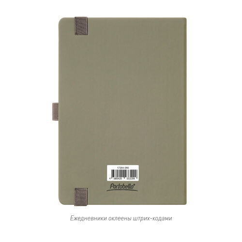 Ежедневник Alpha недатированный, серый/бирюзовый 1