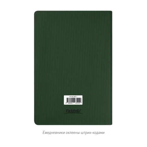 Ежедневник Rain недатированный, зеленый (без упаковки, без стике 6