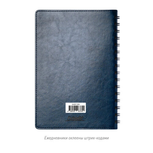 Ежедневник Vista Neo недатированный, синий 5