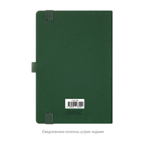 Ежедневник Alpha недатированный, зеленый/оливковый 2