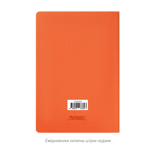 Ежедневник Rain недатированный, оранжевый 6