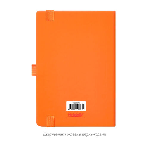 Ежедневник Alpha недатированный, оранжевый/оранжевый 1