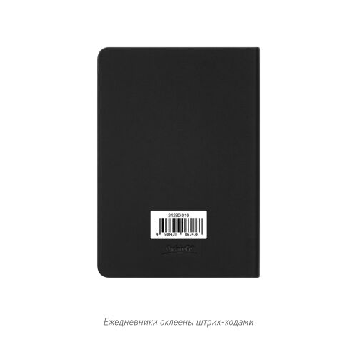 Ежедневник Спарк мини (Spark mini) A6 недатированный, черный 6