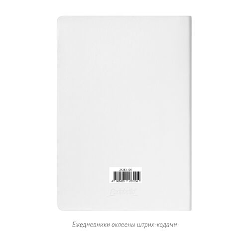 Ежедневник Galaxy недатированный, гибкая обложка, срез голограф. 6