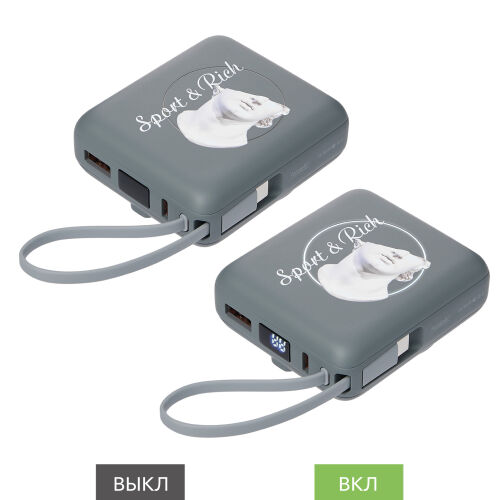 Внешний аккумулятор с подсветкой Риттер PD (Ritter PD) 10000mAh  3