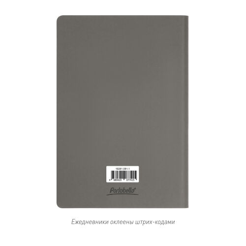 Ежедневник Star недатированный, серый (без упаковки, без стикера 6