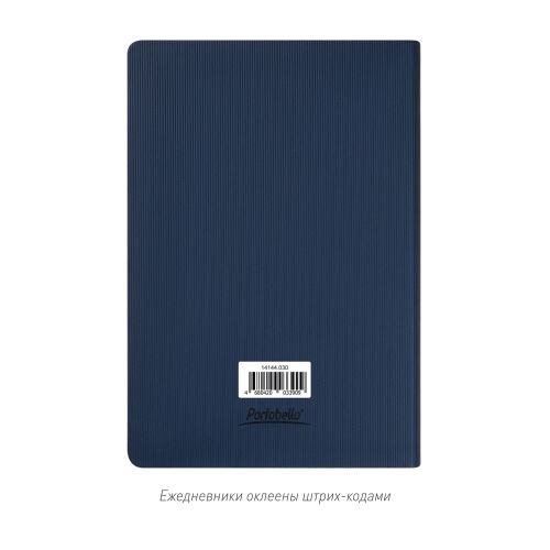 Ежедневник Rain недатированный, синий 6
