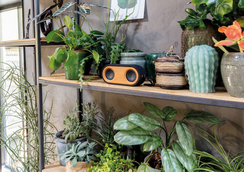 Колонка с двумя динамиками Bamboo X 4 Колонка с двумя динамиками Bamboo X 4