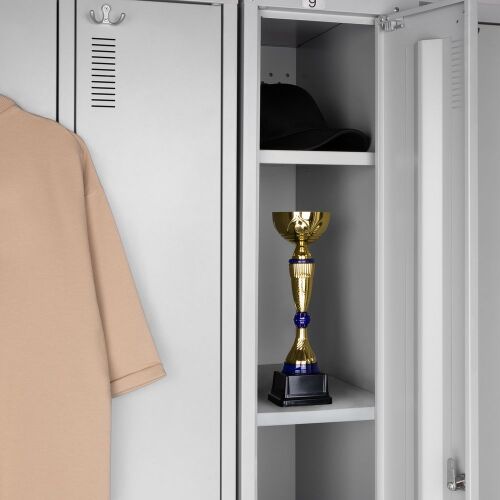 Кубок Awardee, малый, синий 5