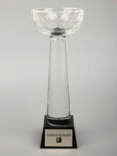 Кубок Cupture, большой 5