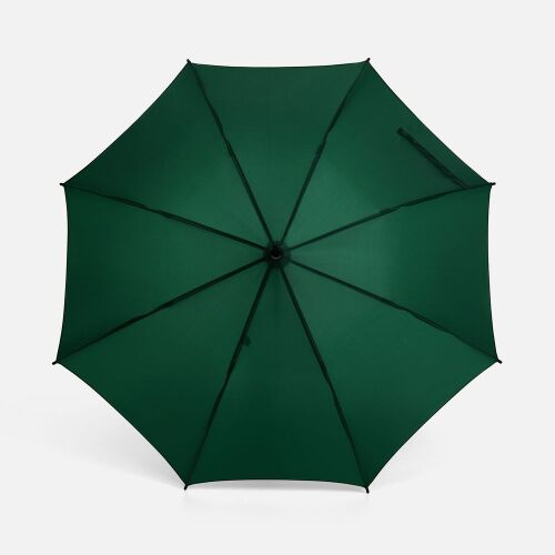 Зонт-трость Standard, зеленый 2
