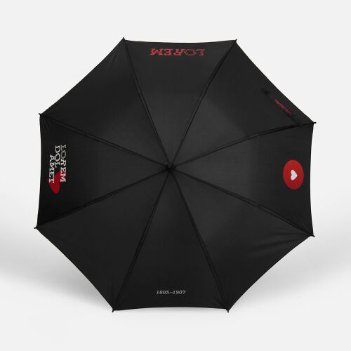 Зонт-трость Hidecolor с цветными спицами, черный с красным 6
