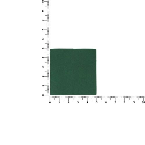 Лейбл Listra Latte, L, зеленый 2