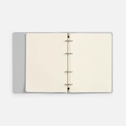 Ежедневник Ringo, недатированный, серебристый 2