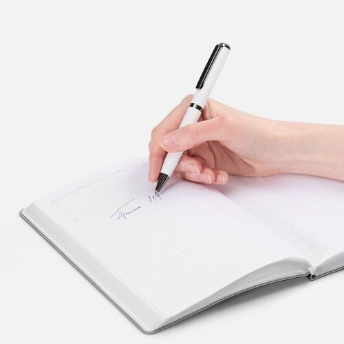 Ручка шариковая Inkish Gunmetal в футляре, белая 4