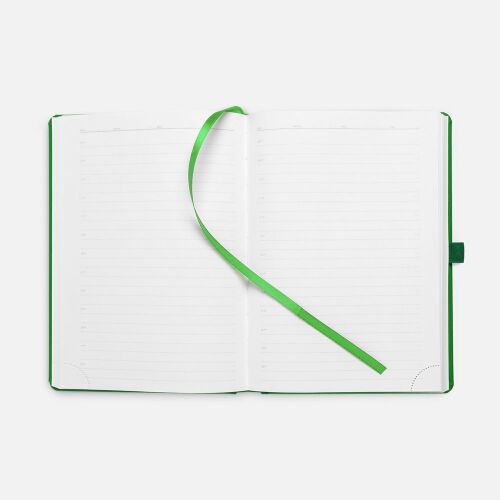 Ежедневник Favor Metal, недатированный, ярко-зеленый 6