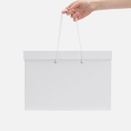 Коробка Handgrip, горизонтальная, белая 4