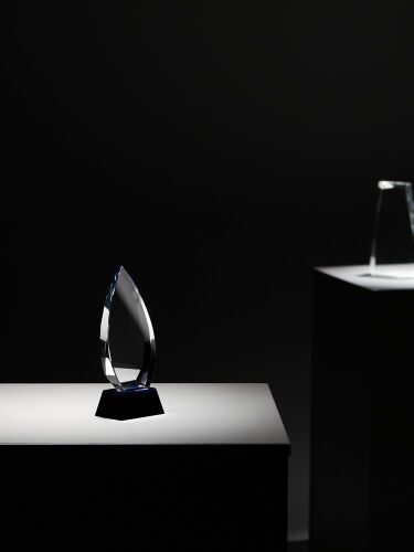 Награда Droplet 4