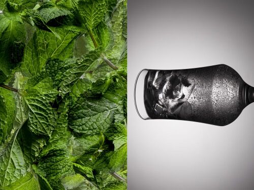 Бокал для пива Tulip 2