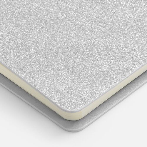 Ежедневник Ringo, недатированный, серебристый 4