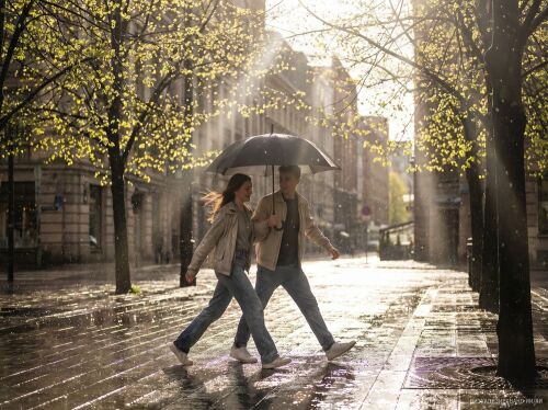 Зонт-трость Sombrella, черный 7