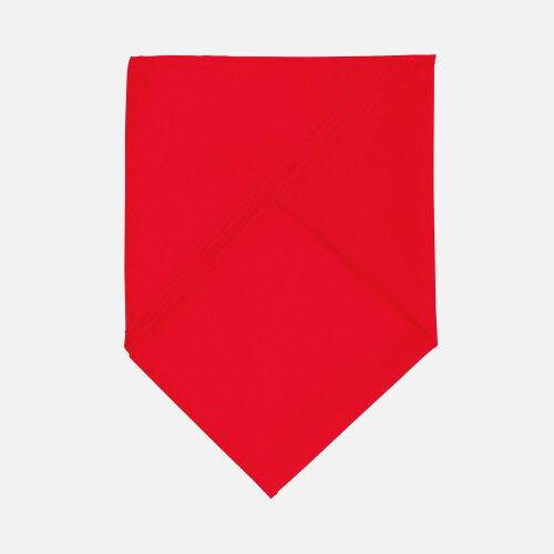 Шейный платок Bandana, красный 2