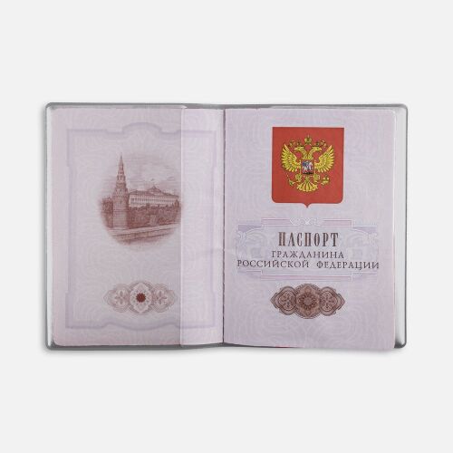 Обложка для паспорта Dorset, серая 3