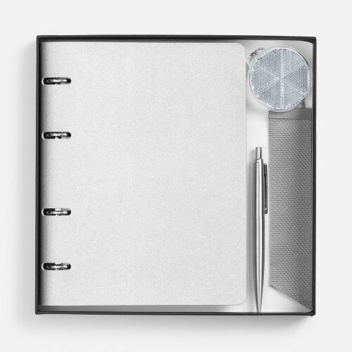 Набор Ringo, серебристый 2