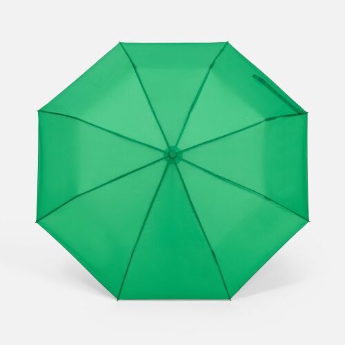 Зонт складной Basic, ver.2, зеленый 1